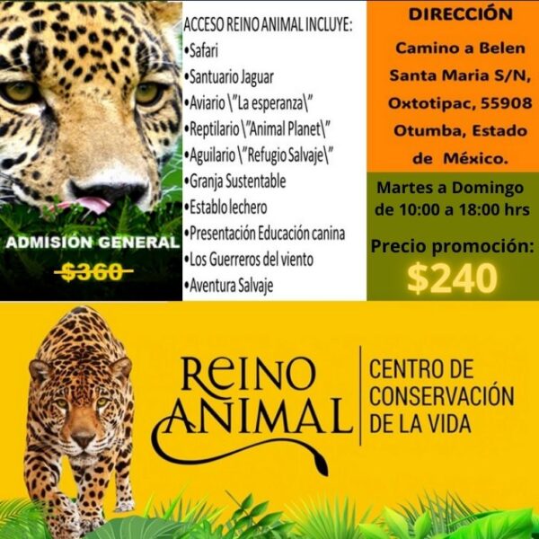 Reino Animal